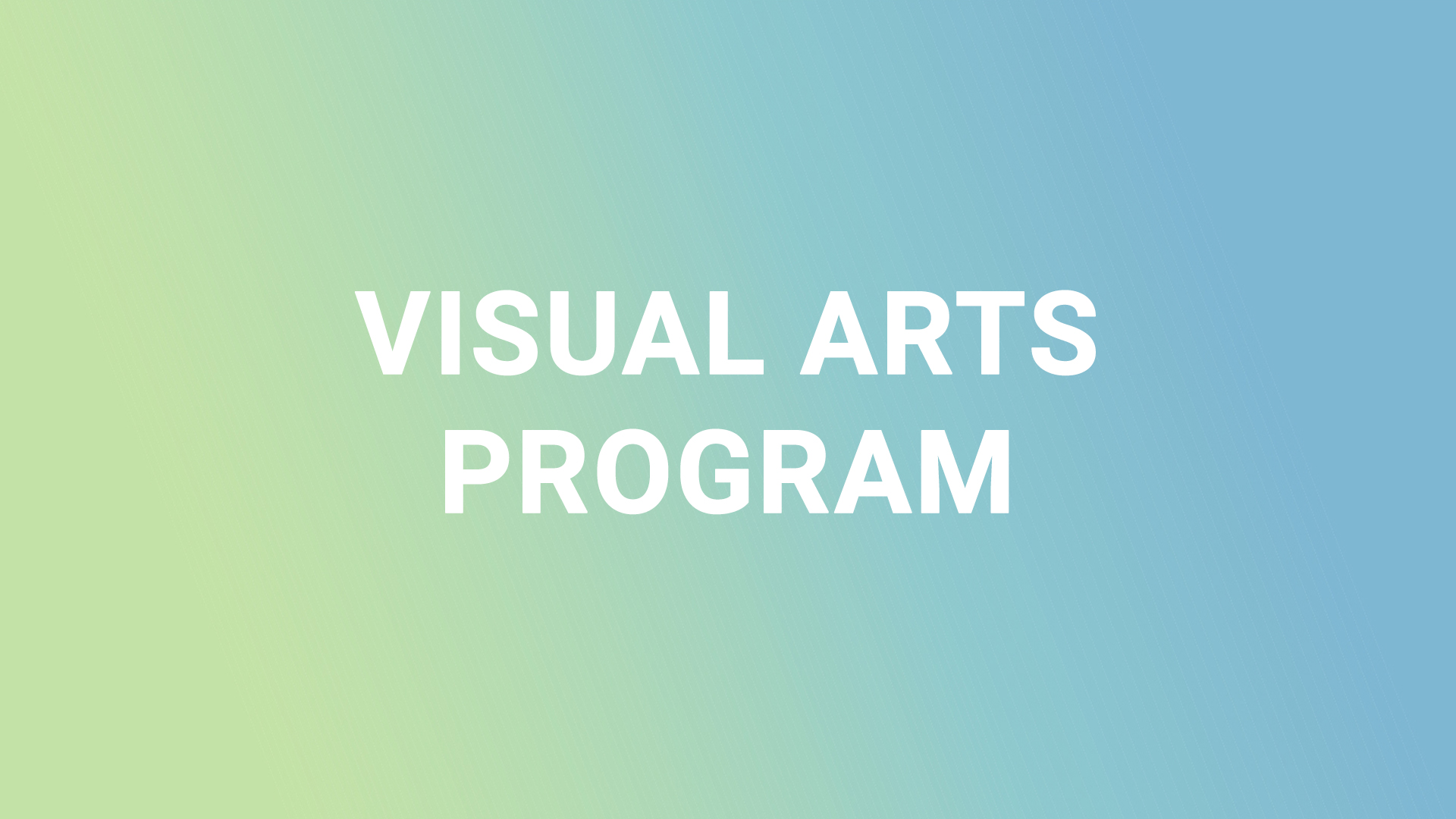 VISUAL ARTS PROGRAM